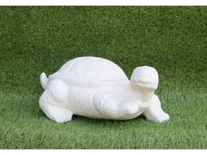 Tuinbeeld schilpad (Wit)